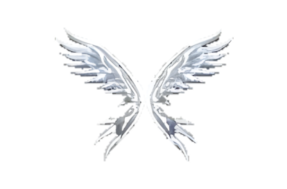 Wings of Soul